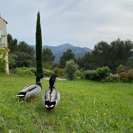 La Maison Perchee Auriol ภายนอก รูปภาพ